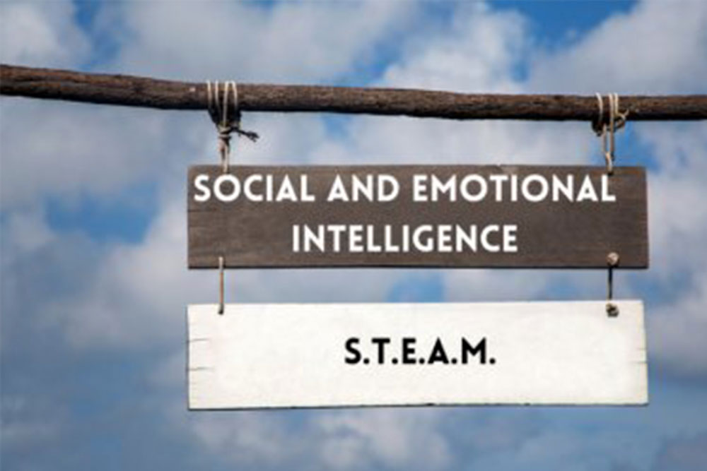You are currently viewing Relating Social and Emotional Intelligence with S.T.E.A.M.